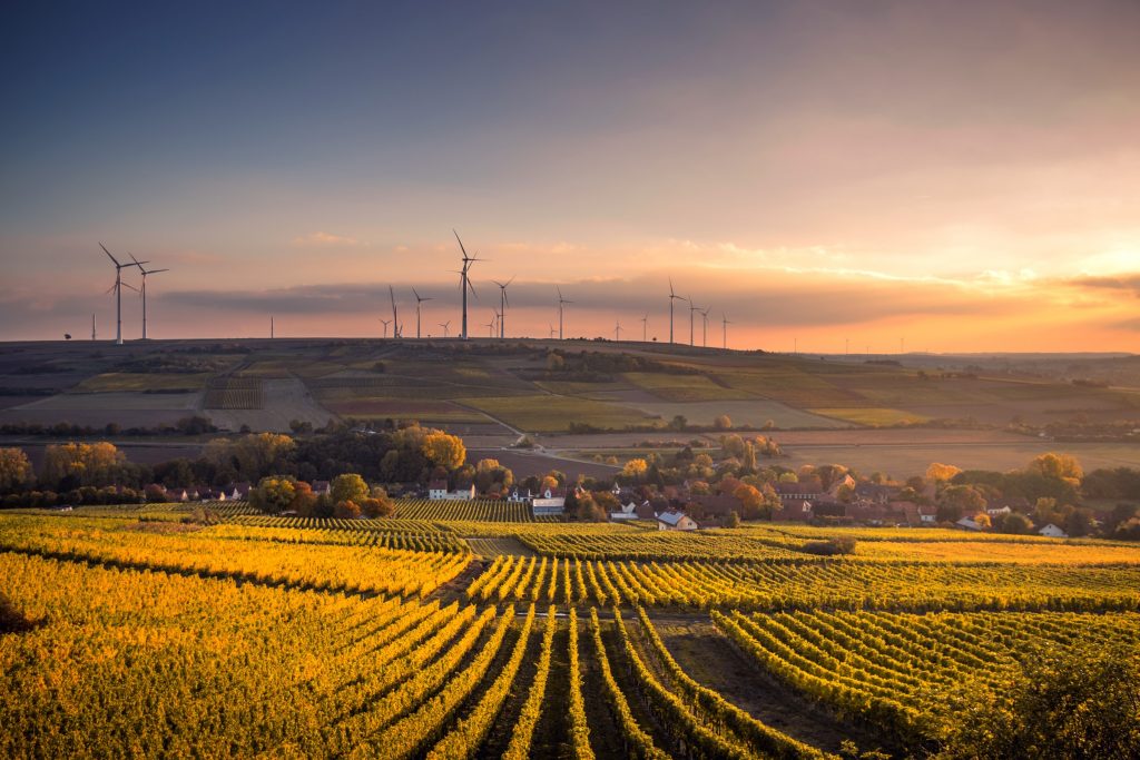 Plan structurel d'éoliennes pendant la journée
